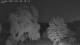 Mandelsloh 12.06.2025 00:12
