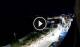 Santa Cesarea Terme 01.05.2025 00:13