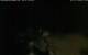 Walton 15.06.2025 00:08