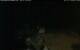 Walton 11.07.2025 00:08