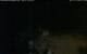 Walton 15.07.2025 00:08