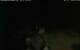 Walton 06.07.2025 00:08