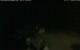 Walton 08.07.2025 00:08