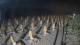 Castiglione della Pescaia 10.07.2025 00:13