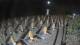 Castiglione della Pescaia 04.07.2025 00:13