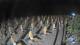 Castiglione della Pescaia 14.06.2025 00:14