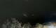 Rayol-Canadel-sur-Mer 30.04.2025 00:14