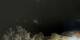 Rayol-Canadel-sur-Mer 01.05.2025 00:14