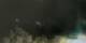 Rayol-Canadel-sur-Mer 15.06.2025 00:14