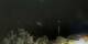 Rayol-Canadel-sur-Mer 30.04.2025 00:14
