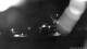 Bad Schandau 01.05.2025 00:48