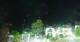 Strobl 15.06.2025 00:14