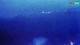 Kolan (Pag) 01.05.2025 00:15