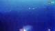Kolan (Pag) 11.07.2025 00:14