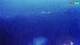 Kolan (Pag) 09.06.2025 00:15