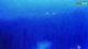 Kolan (Pag) 15.06.2025 00:14