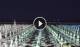 Gatteo a Mare 11.07.2025 00:16
