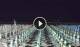 Gatteo a Mare 12.07.2025 00:16