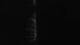 Maillezais 01.05.2025 00:16