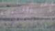 Les Landes-Genusson 10.07.2025 00:16