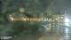 Lerici 07.07.2025 00:17