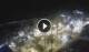 Puerto de la Cruz (Teneriffa) 02.07.2025 00:17