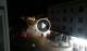 Caorle 15.06.2025 00:17
