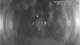 Castaway Island 22.03.2025 00:48