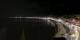 Nizza 01.05.2025 00:19