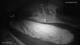 Altenberg (Monts Métallifères) 30.04.2025 00:48