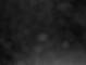 Costa Fortuna 30.04.2025 00:20