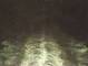 Costa Diadema 30.04.2025 00:28