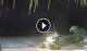 Bwejuu (Sansibar) 09.06.2025 00:20