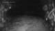 Colle Isarco 30.04.2025 00:48