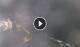 Furore 01.05.2025 00:21