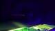 Royan 09.06.2025 00:21