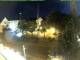 Holzkirchen 13.07.2025 00:50