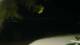 Le Morne 01.05.2025 00:22