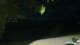 Le Morne 12.05.2025 00:22
