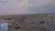 Nuuk 09.07.2025 00:18