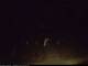 Schwedt (Oder) 05.07.2025 00:23