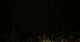 Tarrenz 01.06.2025 00:23