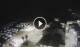 Punta Secca 12.07.2025 00:24