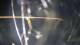 Solkan 02.07.2025 00:25