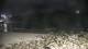 Malpica 10.06.2025 00:27