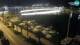 Zadar 13.07.2025 00:31