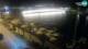 Zadar 14.07.2025 00:31
