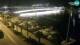 Zadar 06.07.2025 00:27