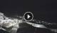 Algodonales 01.05.2025 00:28