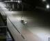 De Panne 21.05.2025 00:28